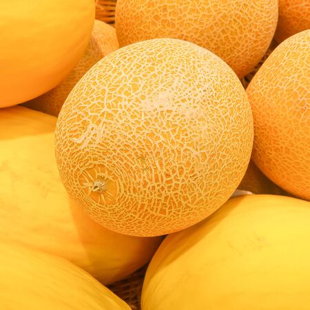 Ripe tasty melons for fun. healthy eating. selective focus.の写真素材