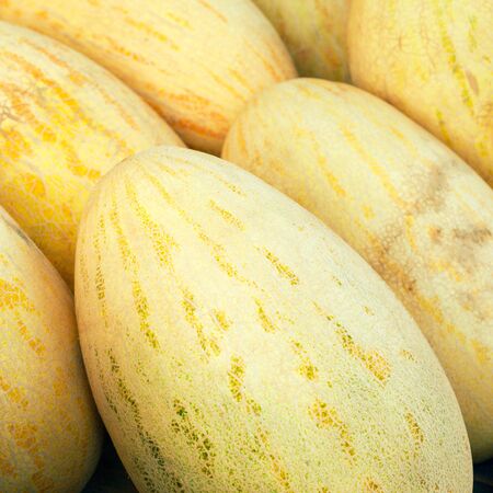 Ripe tasty melons for fun. healthy eating. selective focus.の写真素材
