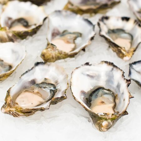 Fresh oysters close-up on a dish, served with oysters, lemon and ice. Healthy seafood. Oyster dinner with champagne in a restaurant. Gourmet foodの写真素材