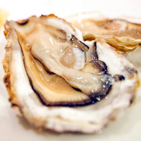 Fresh oysters close-up on a dish, served with oysters, lemon and ice. Healthy seafood. Oyster dinner with champagne in a restaurant. Gourmet foodの写真素材