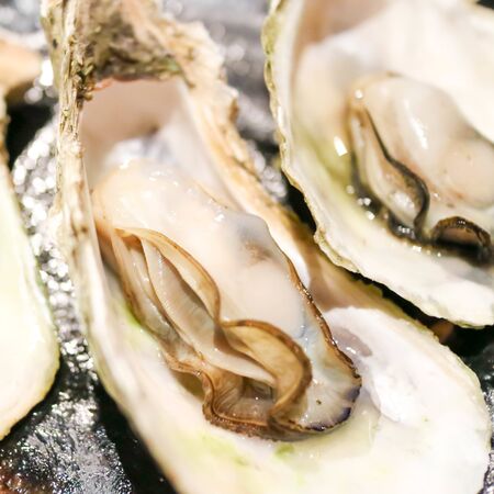 Fresh oysters close-up on a dish, served with oysters, lemon and ice. Healthy seafood. Oyster dinner with champagne in a restaurant. Gourmet foodの写真素材