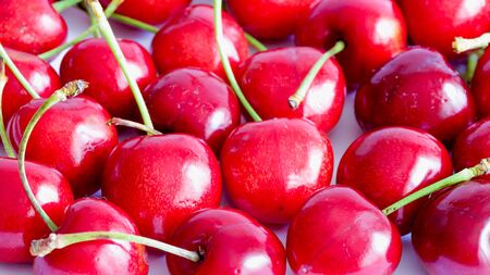 Close up of a bunch of ripe cherries with stems and leaves. Big collection of red berries. Ripe background. Selective focusの写真素材