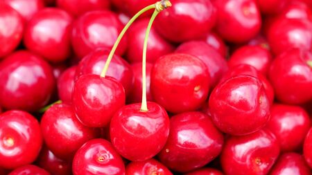 Close up of a bunch of ripe cherries with stems and leaves. Big collection of red berries. Ripe background. Selective focusの写真素材