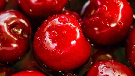 Close up of a bunch of ripe cherries with stems and leaves. Big collection of red berries. Ripe background. Selective focusの写真素材