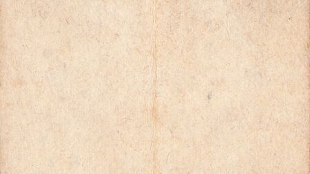 Vintage book paper texture. High resolution grunge backgroundの写真素材