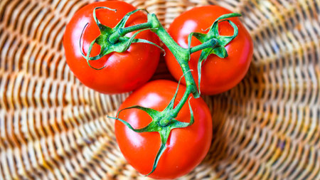 Beautiful red ripe heirloom tomatoes grown in a greenhouse. Gardening photo with copy space. Shallow...