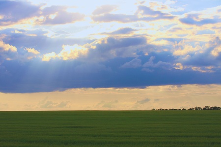 landscapeの写真素材