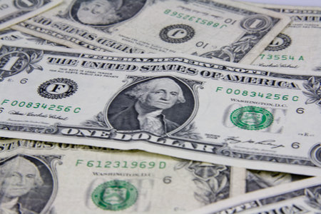 1 Dollar Banknotes Composition