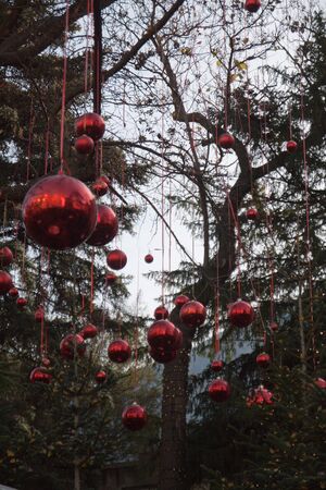 Christmas Decorative Red balls on a jungle of xmas treesの写真素材