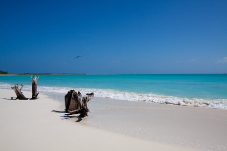 Tropical beach with white sand in front of the sea