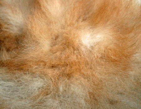 Fur rug