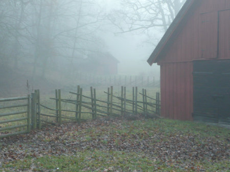 Autumn の写真素材