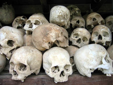 Human skullsの写真素材