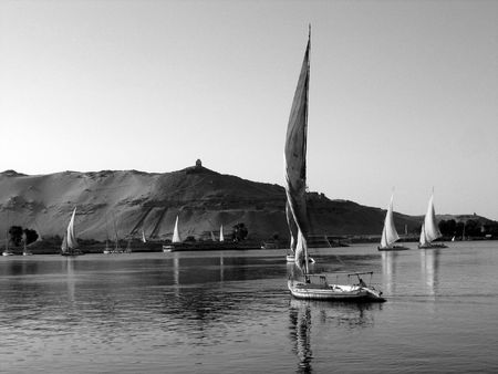 Felukahs on the Nile in B/Wの写真素材
