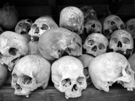 Human skulls in B/Wの写真素材