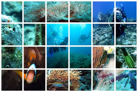 Beautiful views of divers and underwater life on a huge lattice collageの写真素材