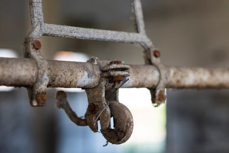 Details of an abandoned stable