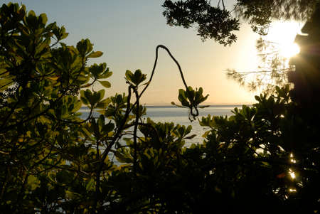 A beautiful picture of the sea at the sunsetの写真素材