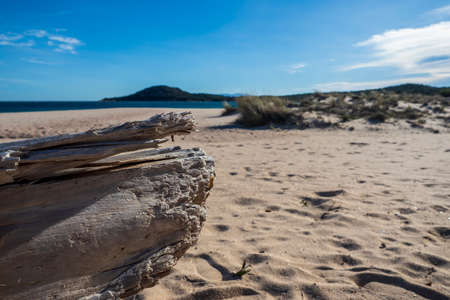 A picture of the beautiful beach of Liscia Ruja in Sardiniaの写真素材