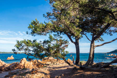 A picture of the beautiful beach of Liscia Ruja in Sardiniaの写真素材