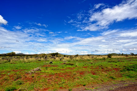 A beautiful picture of an african wild landscapeの写真素材