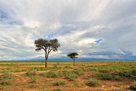 A beautiful picture of an african wild landscapeの写真素材