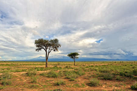 A beautiful picture of an african wild landscapeの素材 [FY310179626325]