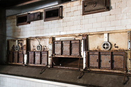A picture of an oven in an abandoned psychiatric hospital