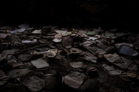 A picture of an abandoned logbook in a bedlamの写真素材
