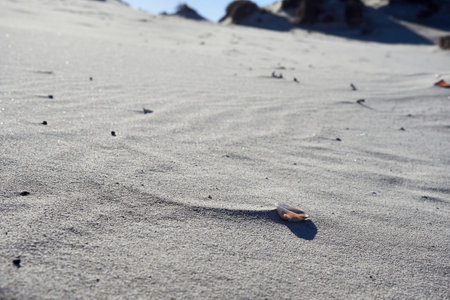 A beautiful picture of a white sand duneの写真素材