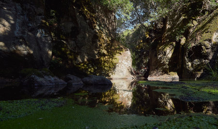 A picture of a beautiful waterfall in the greenの写真素材