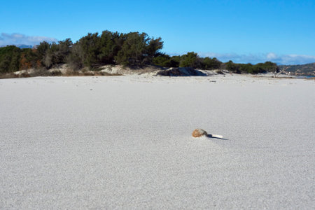 A beautiful picture of a white sand duneの写真素材