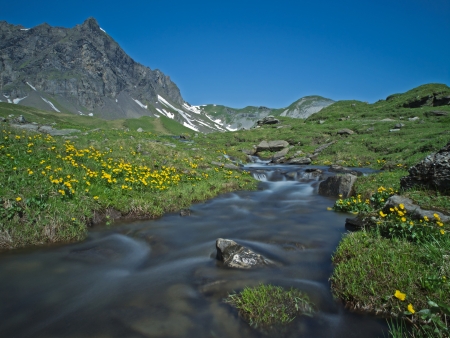 Mountain stream and alpine landscapeの写真素材