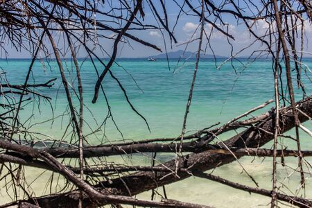 Tree framed beautiful beach viewの写真素材