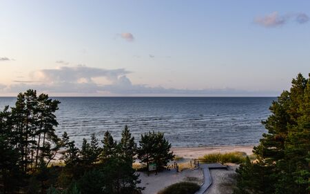 Wood walking trail in forest to the beachの写真素材