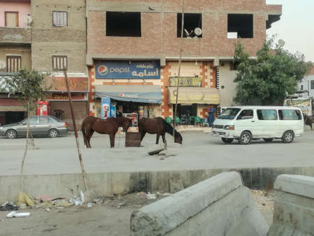 Cairo, Egypt- November 2017: capital city, background famous pyramid wonderのeditorial素材