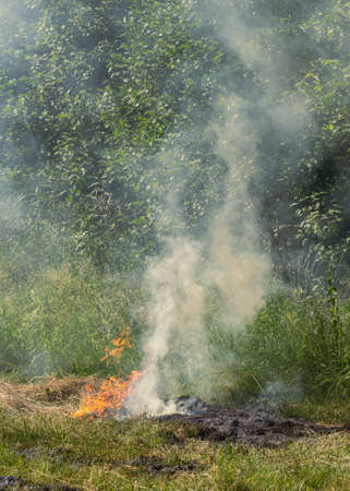 Fire on old green grass, burning the cost, dangerous for natureの写真素材