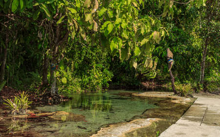 Thailand national water park, small natural pool and green leafs in treesの写真素材