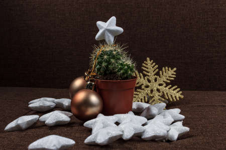 Creative Christmas tree, cactus with gold ball and snowflake decoration and shiny stars, gift card background concept on brown backgroundの写真素材