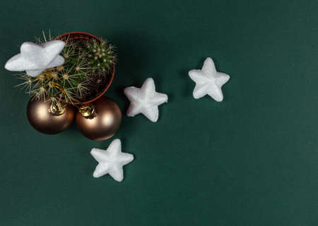 Creative Christmas tree, cactus with gold ball decoration and shiny stars, gift card background concept on green background, view from topの写真素材