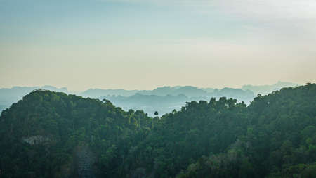 Thailand green nature mountain panoramic view from top, one tree in middleの写真素材
