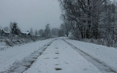 Tire marks in snow covered country road, first winter snow, white frozen treesの写真素材