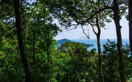Koh Tao island Mango view point, green palm trees and blue sea water.の写真素材