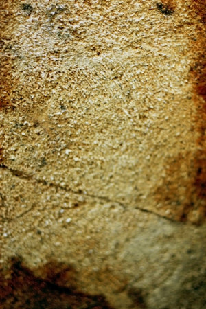 Circles of sliced wood. Background grunge textureの写真素材