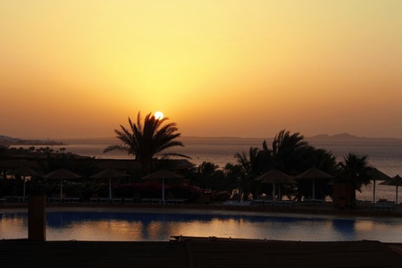 Sunrise from The Red sea and tropical landscapeの写真素材