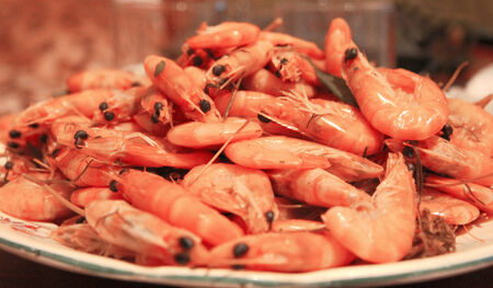 A Boiled Shrimps Background ready for eatingの写真素材
