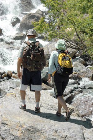 Group of Tourists going for track in summer forestのeditorial素材