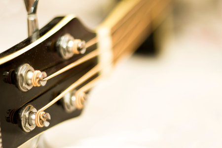 An acoustic bass isolated on the white background in horisontal