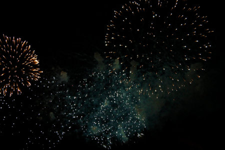 The Celebration colored firework flashing in the black night sky background