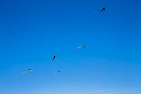 A Colorful flying kite fly against blue skyの写真素材